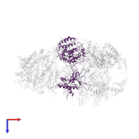 DNA replication licensing factor Mcm2 in PDB entry 6raz, assembly 1, top view.