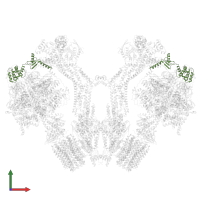 Mitochondrial ATP synthase subunit OSCP in PDB entry 6rd4, assembly 1, front view.