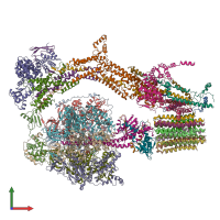 PDB entry 6rd9 coloured by chain, front view.