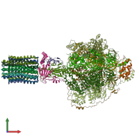 PDB entry 6rdb coloured by chain, front view.