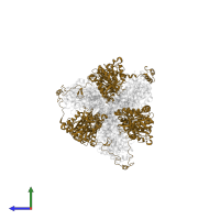 ATP synthase subunit beta in PDB entry 6rdb, assembly 1, side view.
