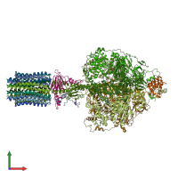 PDB entry 6rdg coloured by chain, front view.