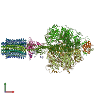 PDB entry 6rdg coloured by chain, front view.