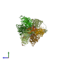 PDB entry 6rdg coloured by chain, side view.