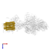 V-ATPase proteolipid subunit C-like domain-containing protein in PDB entry 6rdh, assembly 1, top view.