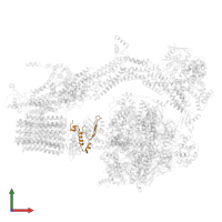 epsilon: Polytomella F-ATP synthase epsilon subunit in PDB entry 6rdh, assembly 1, front view.