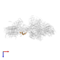 epsilon: Polytomella F-ATP synthase epsilon subunit in PDB entry 6rdh, assembly 1, top view.