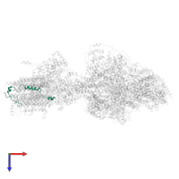 ASA-10: Polytomella F-ATP synthase associated subunit 10 in PDB entry 6rdh, assembly 1, top view.