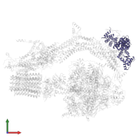 Mitochondrial ATP synthase subunit ASA2 in PDB entry 6rdh, assembly 1, front view.