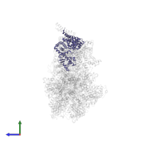 Mitochondrial ATP synthase subunit ASA2 in PDB entry 6rdh, assembly 1, side view.