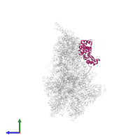 Mitochondrial F1F0 ATP synthase associated 32 kDa protein in PDB entry 6rdh, assembly 1, side view.