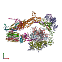 PDB entry 6rdi coloured by chain, front view.