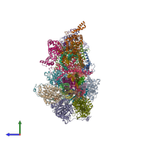 PDB entry 6rdl coloured by chain, side view.