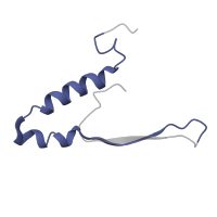 The deposited structure of PDB entry 6rdp contains 1 copy of Pfam domain PF04627 (Mitochondrial ATP synthase epsilon chain) in epsilon: Polytomella F-ATP synthase epsilon subunit. Showing 1 copy in chain L [auth Q].