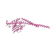 The deposited structure of PDB entry 6rdp contains 1 copy of Pfam domain PF00231 (ATP synthase) in ATP synthase gamma chain, mitochondrial. Showing 1 copy in chain N [auth S].