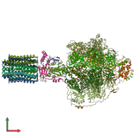 PDB entry 6rdp coloured by chain, front view.