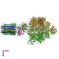 PDB entry 6rdp coloured by chain, top view.