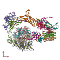 PDB entry 6rdq coloured by chain, front view.