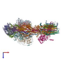 PDB entry 6rdr coloured by chain, top view.