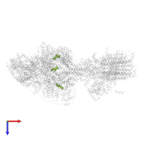 ADENOSINE-5'-TRIPHOSPHATE in PDB entry 6rdr, assembly 1, top view.