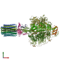 PDB entry 6rds coloured by chain, front view.