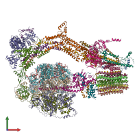 PDB entry 6rdu coloured by chain, front view.