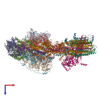 PDB entry 6rdu coloured by chain, top view.