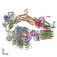 PDB entry 6rdw coloured by chain, front view.