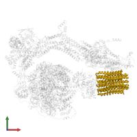 V-ATPase proteolipid subunit C-like domain-containing protein in PDB entry 6rdw, assembly 1, front view.