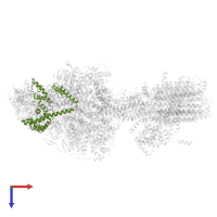 Mitochondrial ATP synthase associated protein ASA4 in PDB entry 6rdw, assembly 1, top view.