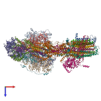 PDB entry 6rdx coloured by chain, top view.