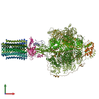 PDB entry 6rdy coloured by chain, front view.