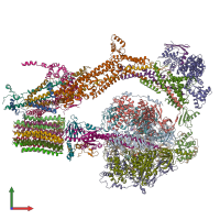 PDB entry 6rdz coloured by chain, front view.