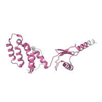 The deposited structure of PDB entry 6re0 contains 1 copy of Pfam domain PF00213 (ATP synthase delta (OSCP) subunit) in Mitochondrial ATP synthase subunit OSCP. Showing 1 copy in chain V [auth P].