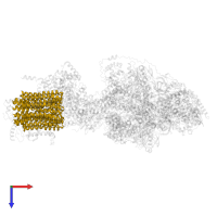 V-ATPase proteolipid subunit C-like domain-containing protein in PDB entry 6re0, assembly 1, top view.