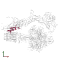 F-ATPase protein 6 in PDB entry 6re0, assembly 1, front view.