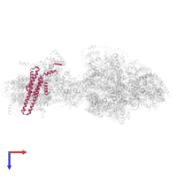 F-ATPase protein 6 in PDB entry 6re0, assembly 1, top view.