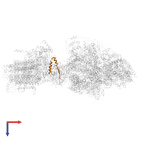 epsilon: Polytomella F-ATP synthase epsilon subunit in PDB entry 6re0, assembly 1, top view.