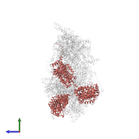 ATP synthase subunit alpha in PDB entry 6re0, assembly 1, side view.