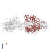 ATP synthase subunit alpha in PDB entry 6re0, assembly 1, top view.