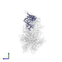 Mitochondrial ATP synthase subunit ASA2 in PDB entry 6re0, assembly 1, side view.