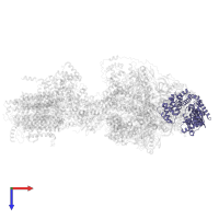 Mitochondrial ATP synthase subunit ASA2 in PDB entry 6re0, assembly 1, top view.