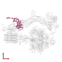 Mitochondrial F1F0 ATP synthase associated 32 kDa protein in PDB entry 6re0, assembly 1, front view.