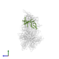 Mitochondrial ATP synthase associated protein ASA4 in PDB entry 6re0, assembly 1, side view.