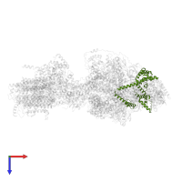 Mitochondrial ATP synthase associated protein ASA4 in PDB entry 6re0, assembly 1, top view.