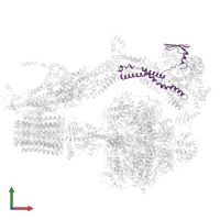 Mitochondrial ATP synthase associated protein ASA7 in PDB entry 6re0, assembly 1, front view.