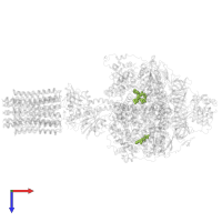 ADENOSINE-5'-TRIPHOSPHATE in PDB entry 6re1, assembly 1, top view.