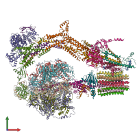 PDB entry 6re2 coloured by chain, front view.
