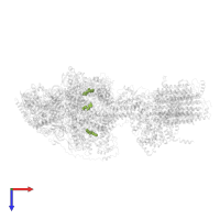 ADENOSINE-5'-TRIPHOSPHATE in PDB entry 6re3, assembly 1, top view.