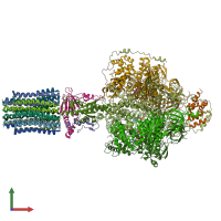 PDB entry 6re4 coloured by chain, front view.